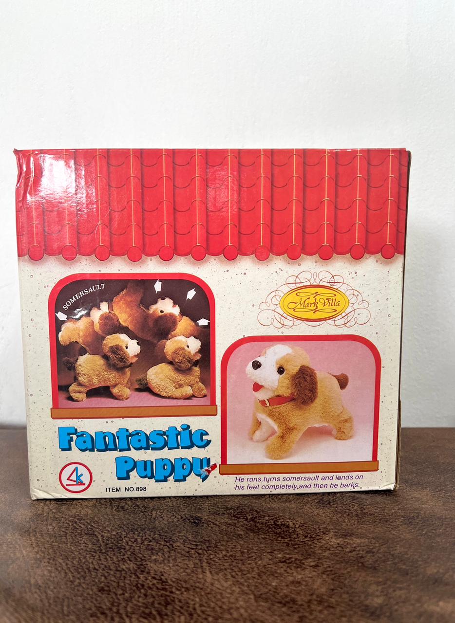 Jumbing Dog